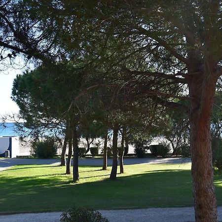 Le Byblos 9 - Vue Mer - Climatisation Plage dʼArgelès Εξωτερικό φωτογραφία