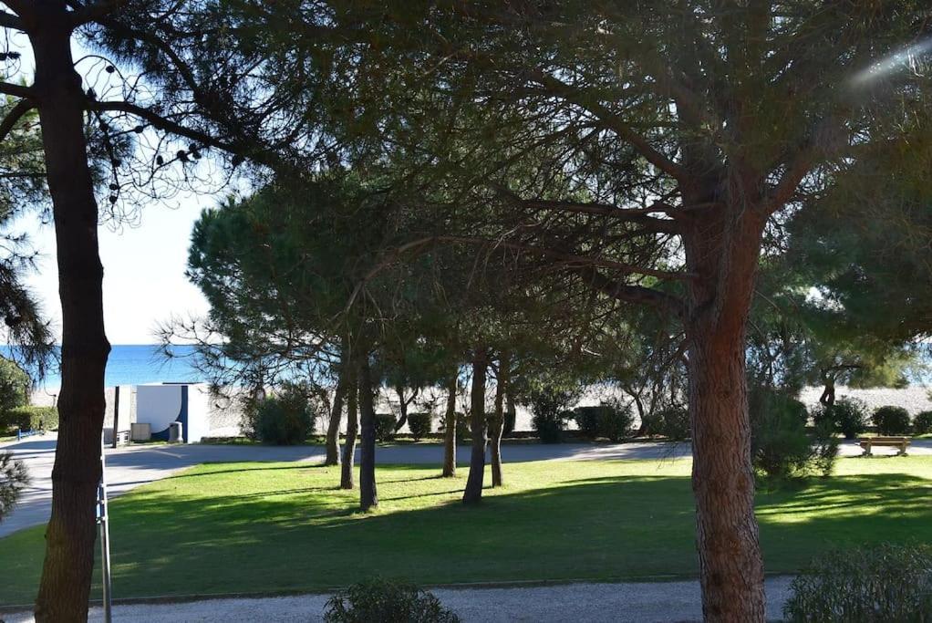 Le Byblos 9 - Vue Mer - Climatisation Plage dʼArgelès Εξωτερικό φωτογραφία
